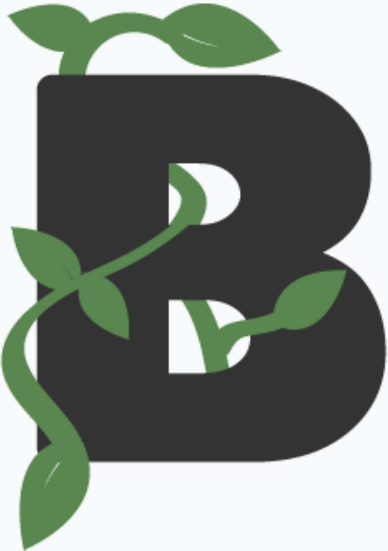 Beanstalk Web Solutions | Agency Vista