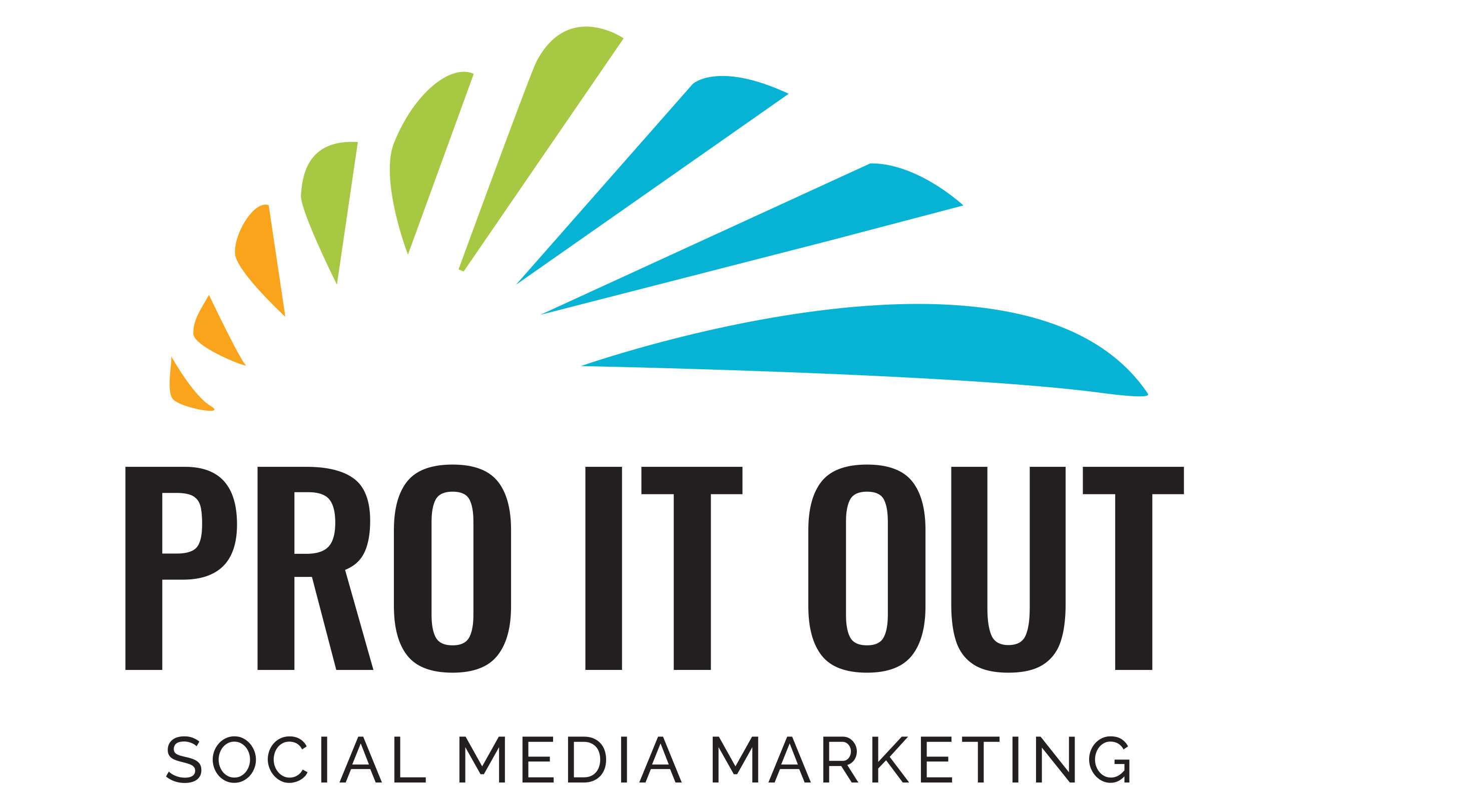 PRO IT OUT MARKETING | Agency Vista
